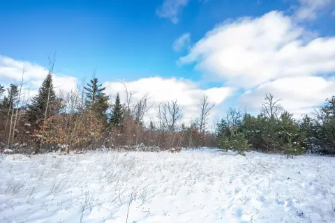 Versatile Industrial Land Near Lewiston