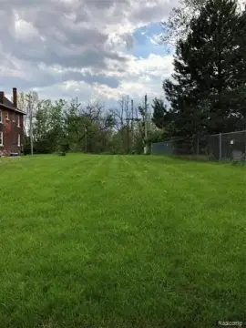 Detroit Vacant Land Opportunity Zone