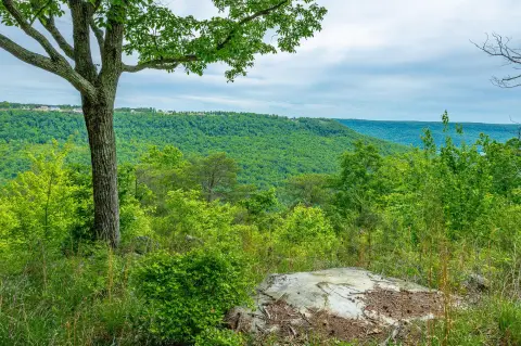 Jasper Highlands Bluff Lot