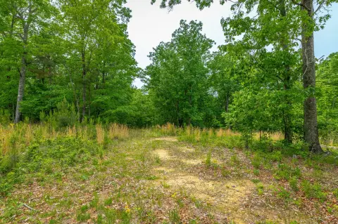 Jasper Highlands Homesite