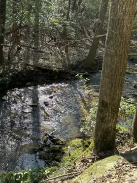 Dunlap, TN Land For Sale