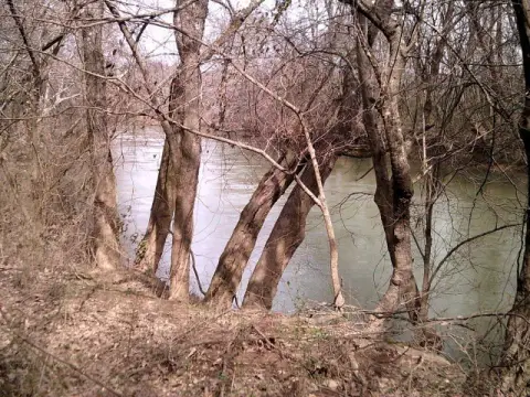 140+ Acre Riverfront Land