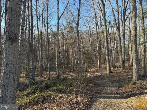 2 Acre Wooded Building Lot