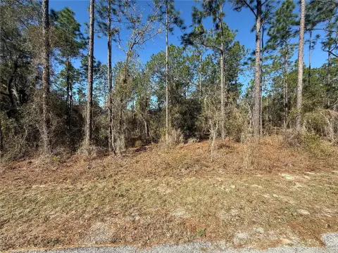 Land in Dunnellon, Florida