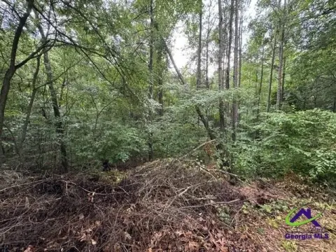 Residential Lot with Acreage
