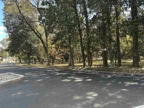 Elevated Corner Home Lot