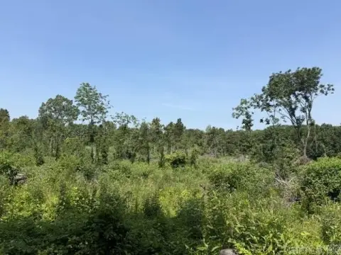Recreational Hunting Land Parcel