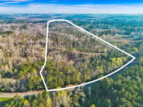 40 Acres Wooded Property