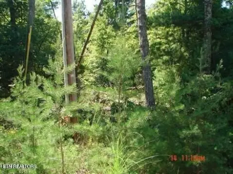 Buildable Lot in Upscale Subdivision