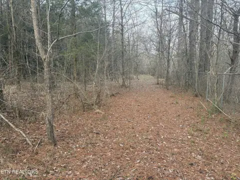 Friendsville, TN Commercial Land