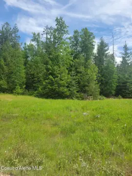 Forested Residential Land Parcel