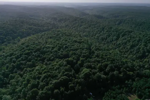 Hunting Land With Year-Round Creek