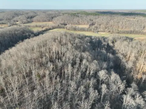 35 Acres Wooded Tract, Dover