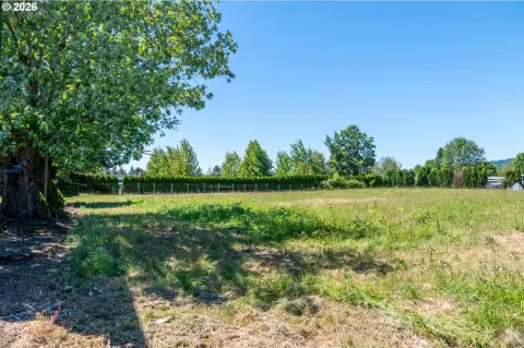Corner Commercial Development Lot