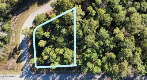 Wooded Corner Lot Opportunity