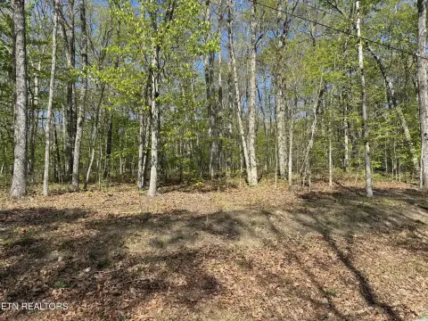 Land Near Lake Sherwood