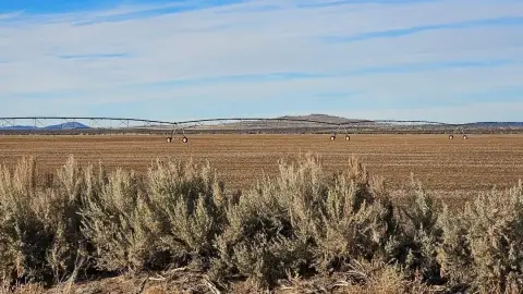 Christmas Valley Land For Sale