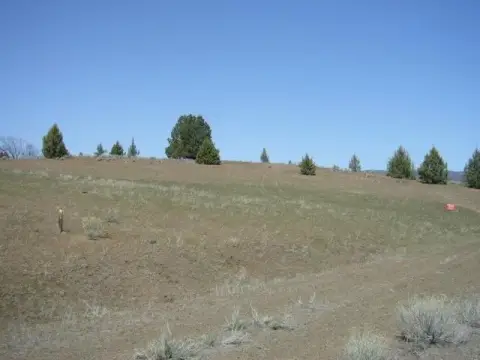 Hornbrook Acreage with Mountain Views