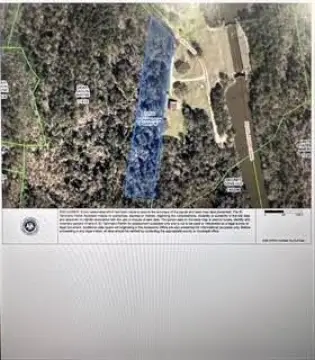 Wooded Land with Longleaf Pines