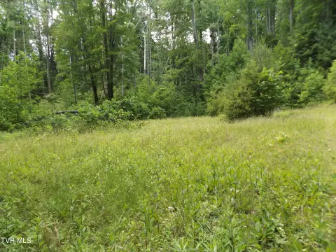 Wooded Mountain Land with House Seat