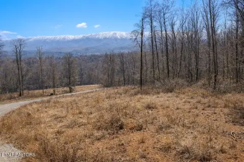 Land with Mountain Views