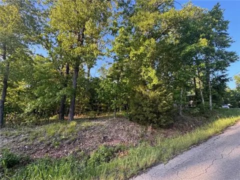Residential Lot in Bella Vista