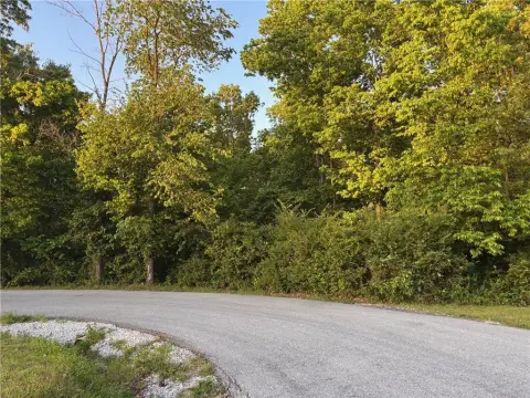 Wooded Lot in Bella Vista