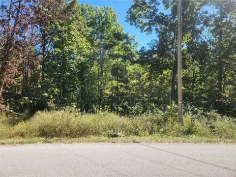 Bella Vista Land Investment Opportunity