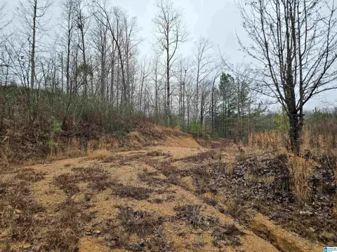 Cullman, AL Residential Lot