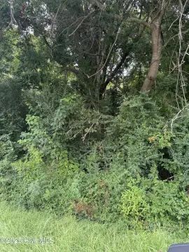 Moyock, NC Wooded Land