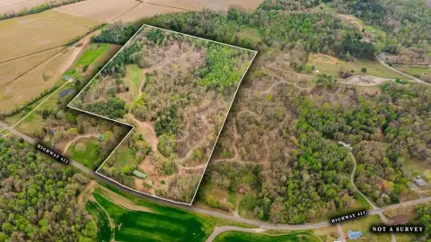 McKenzie Land with Timber