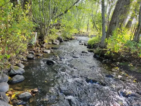 Hyalite Creekfront Lot in Bozeman