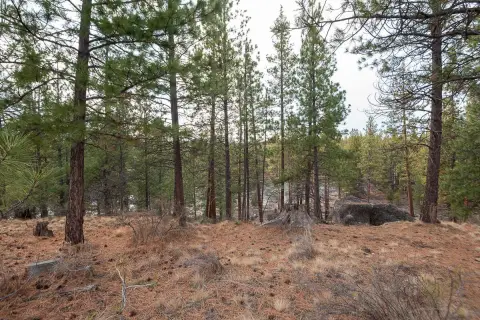 River View Lot For Sale