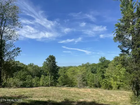Unrestricted Land in Knoxville, TN