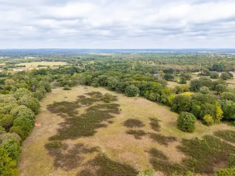Fenced Hunting Land