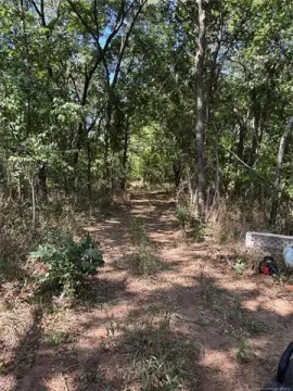 Creekside Hunting Land