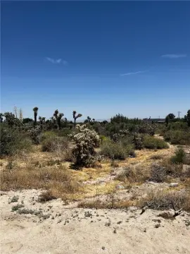 Phelan Land with Mountain Views