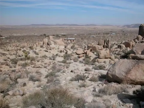 Joshua Tree Land with Boulders
