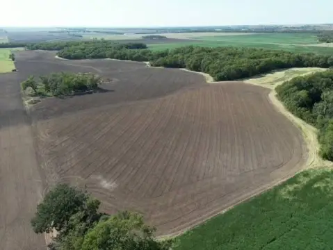 Tillable Farmland with Creek Habitat