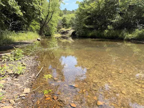 Hunting Land with Creek Frontage