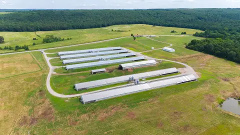 Broiler Poultry Farm with Six Houses