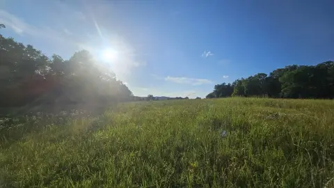 50 Acres Vacant Land