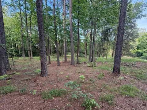 Wooded Lots Near Kentucky Lake