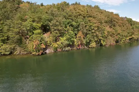 Waterfront Land on Tennessee River