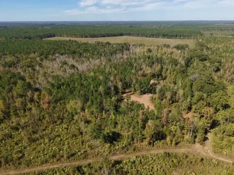 Hunting Land with Food Plots