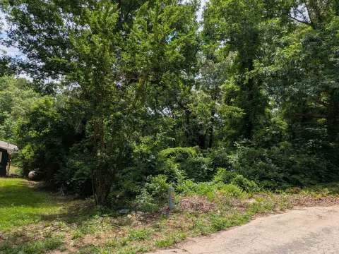 Lakefront Land Parcel