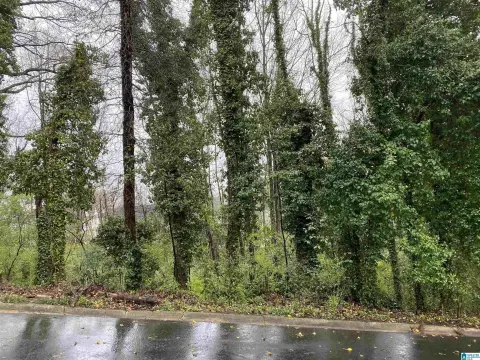 Residential Lot in Edgewood