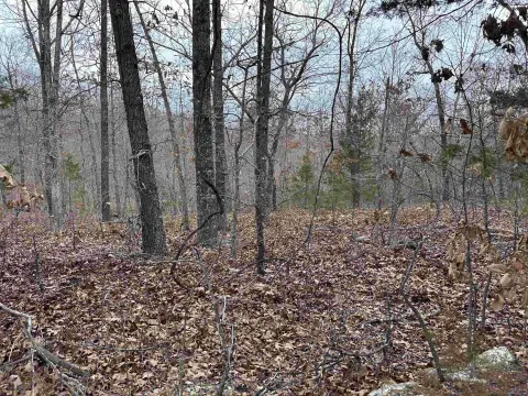 Secluded Residential Lot Near Lake