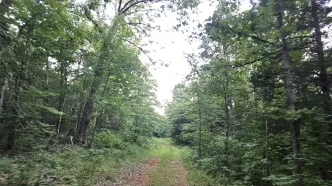 Recreation Land with River Access