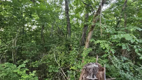 26 Acres Near Buffalo River